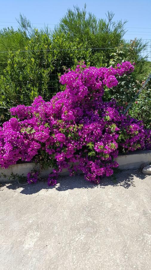 B&B Su Tintillu Gonnesa Εξωτερικό φωτογραφία